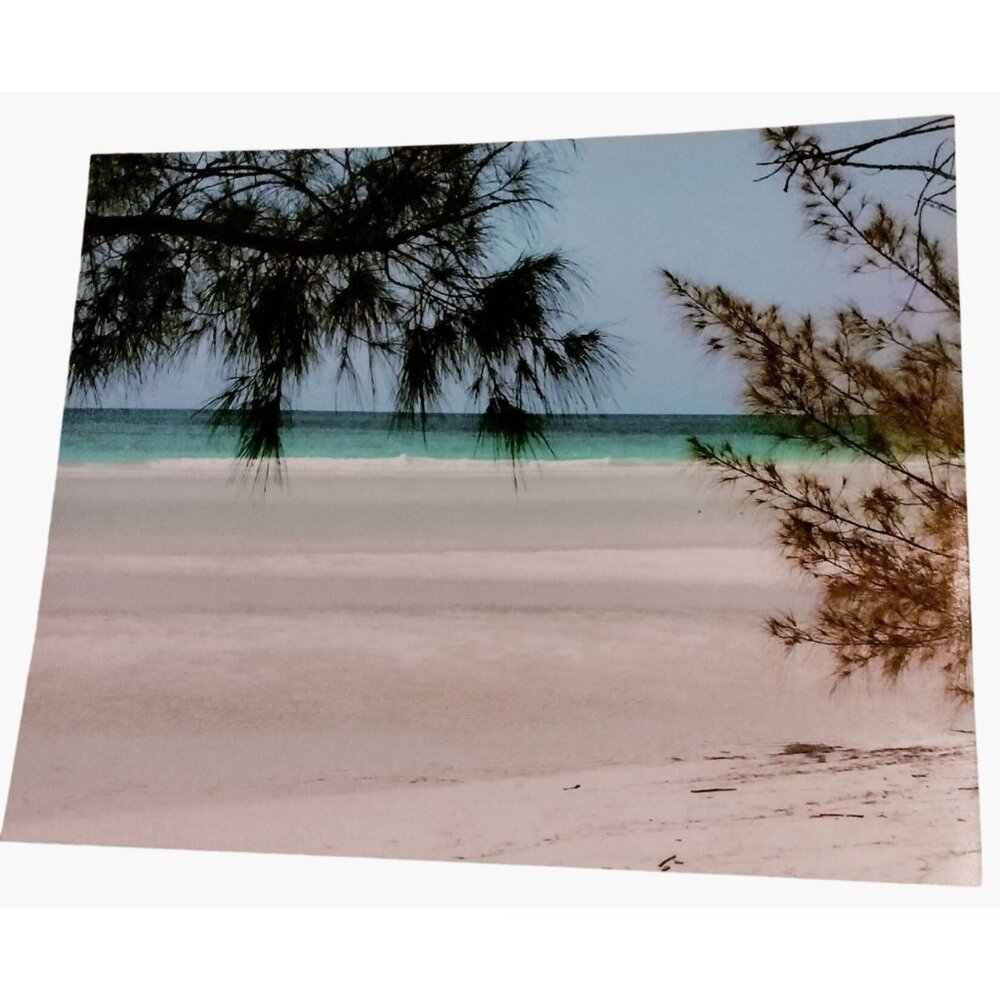 Ocean Beach Scene Print Vintage 8 x 10 Kodak Photo